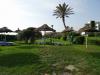 dsc00824_t1.jpg