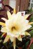 f367062b-64916719_t1.jpg