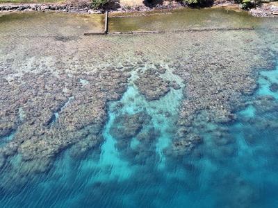 Roatan - Honduras
