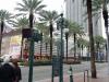 dsc03893_t1.jpg